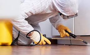 Best Termite Inspection and Treatment  in Rollingwood, CA